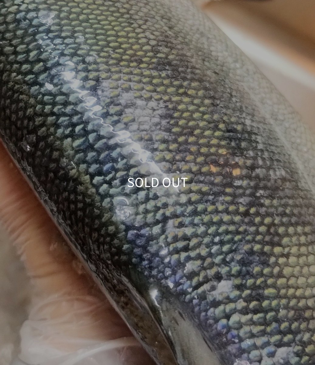 画像5: Pika Pika Cherry Trout 3〜6PC(50g)【羅臼産】 (5)