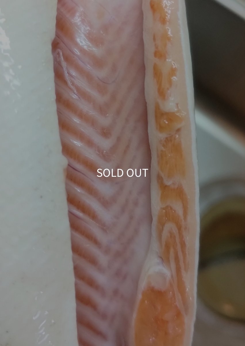 画像6: Pika Pika Cherry Trout 3〜6PC(50g)【羅臼産】 (6)