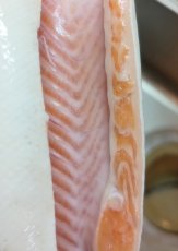 画像6: Pika Pika Cherry Trout 3〜6PC(50g)【羅臼産】 (6)