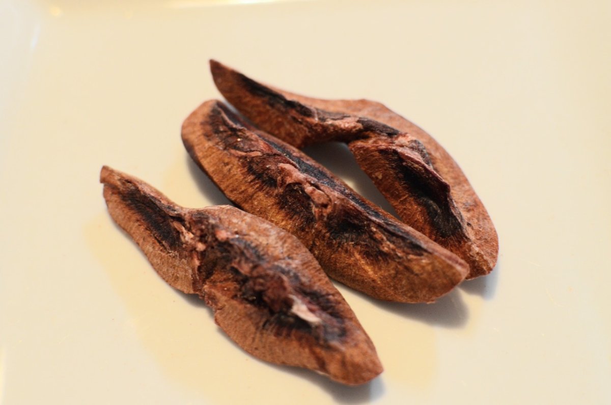 画像2: Mame Mame Kidney 20g (2)