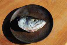 画像1: Pika Pika Cherry Trout Heads 2〜3PC (75g)【羅臼産】 (1)