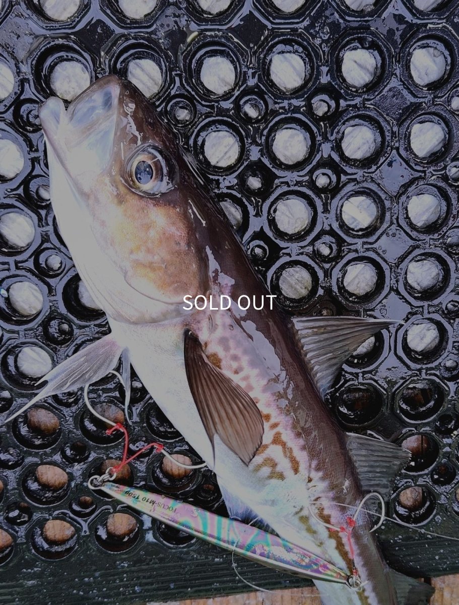 画像1: Suke Suke Sukeso Cod 45g± (1)