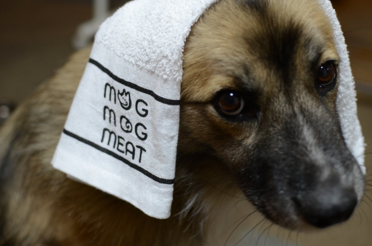 画像1: MOG TOWEL (1)
