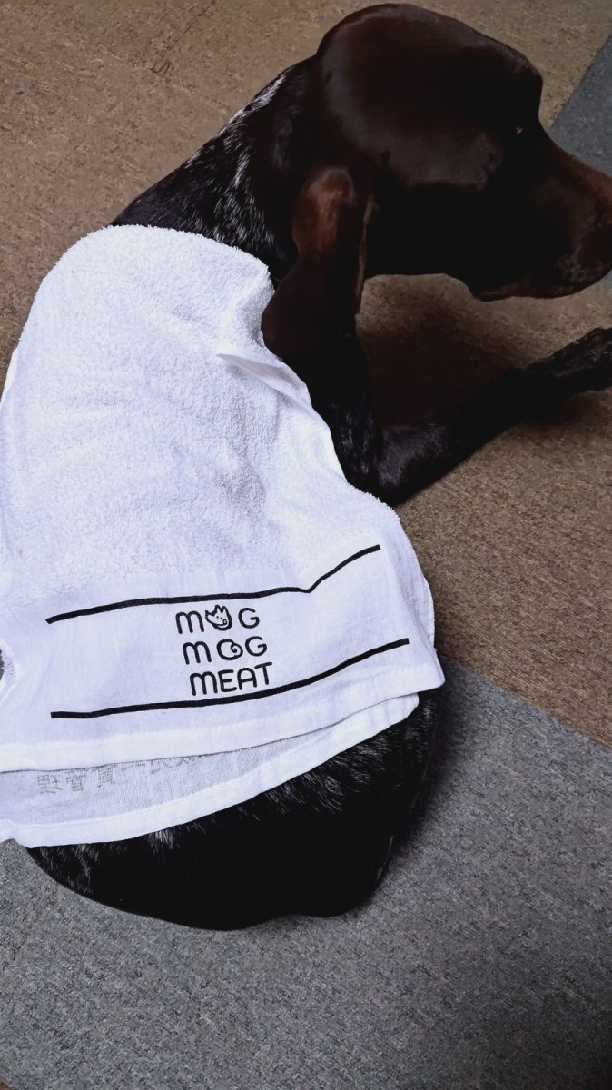 画像3: MOG TOWEL (3)