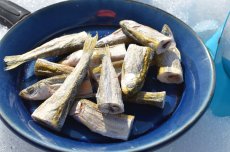 画像1: 抽選販売！！【チカ】Chika Chika Surf Smelt 50g±【風蓮湖産】 (1)