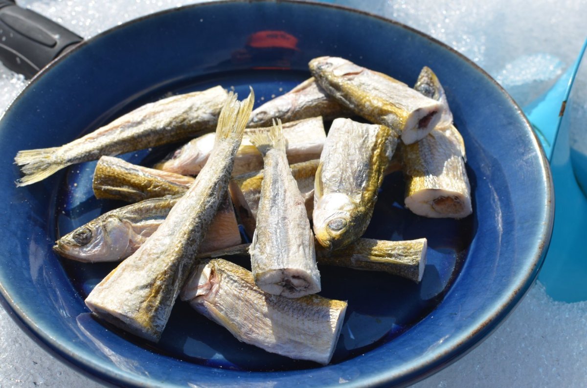 画像1: 通常販売【チカ】Chika Chika Surf Smelt 50g±【風蓮湖産】 (1)