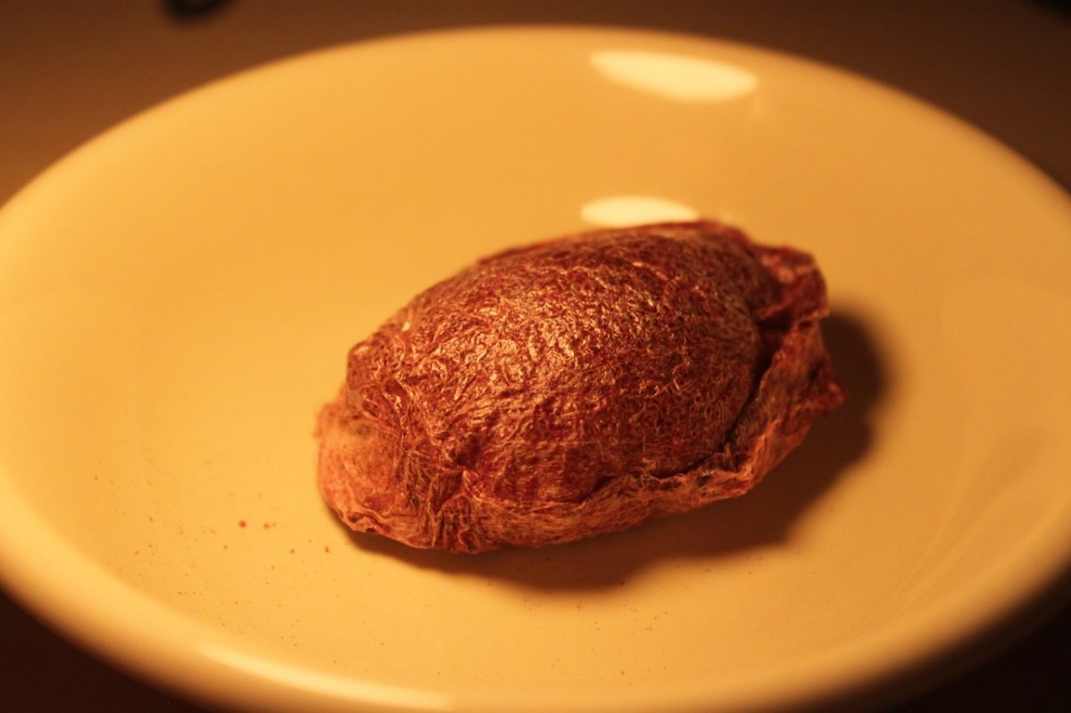 画像1: 【胎盤】Pom Pom Placenta 20g± (1)