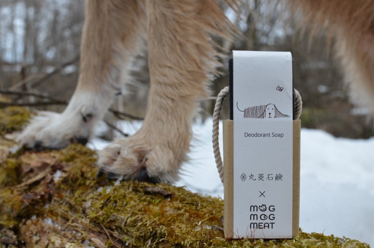 画像1: 【匂いが気になる子用石鹸シャンプー】Natural Deodorant & Refresh Soap (1)