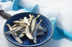 画像2: 抽選販売！！【チカ】Chika Chika Surf Smelt 50g±【風蓮湖産】 (2)