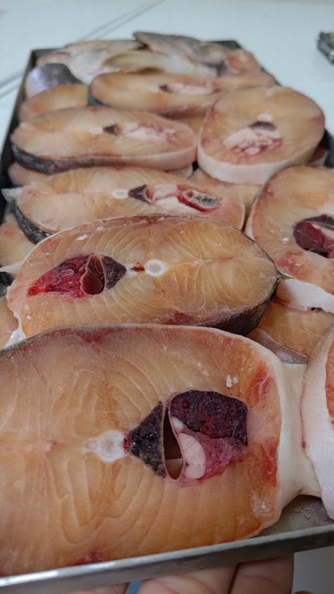 画像3: 【雨鱒】Sito Sito Rain Trout 50g±【当幌川産】 (3)