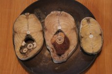 画像1: 【雨鱒】Sito Sito Rain Trout 50g±【当幌川産】 (1)