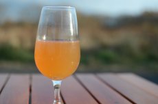 画像2: Puru Puru Bone Broth 100ml (2)