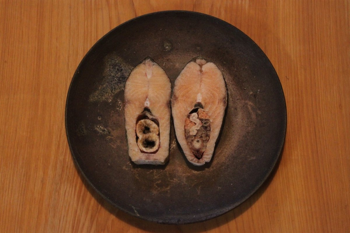 画像1: 【ニジマス】Kira Kira Rainbow Trout 50g± (1)