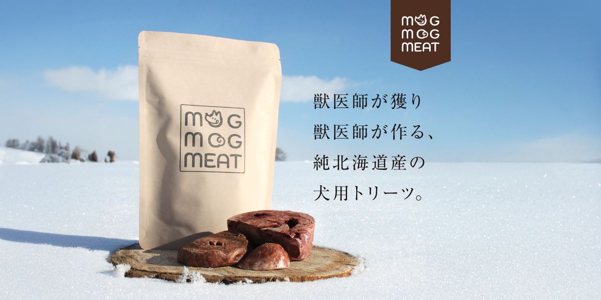 リニューアルオープンのお知らせ