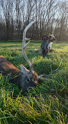 命を知る獣医師だからこそ、命を獲るハンタとして。
